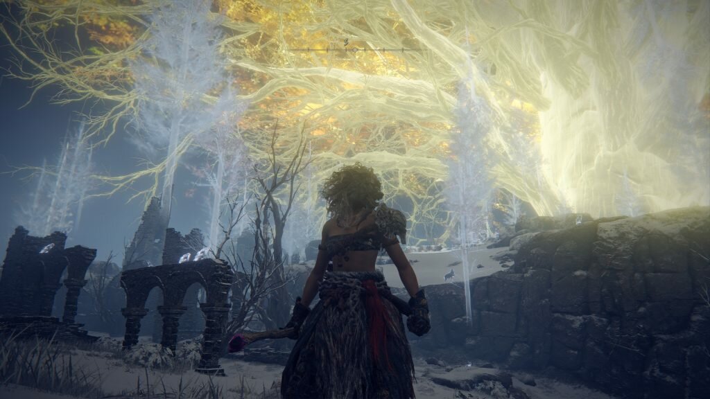 Review - Elden Ring